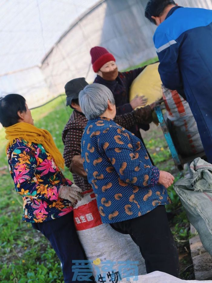 把路边草变成财富链，章丘这位新农人年入800万