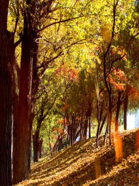 国家工业遗产，行走的思政课堂——济南二机床让工业“老面孔”变身工业旅游“新地标”