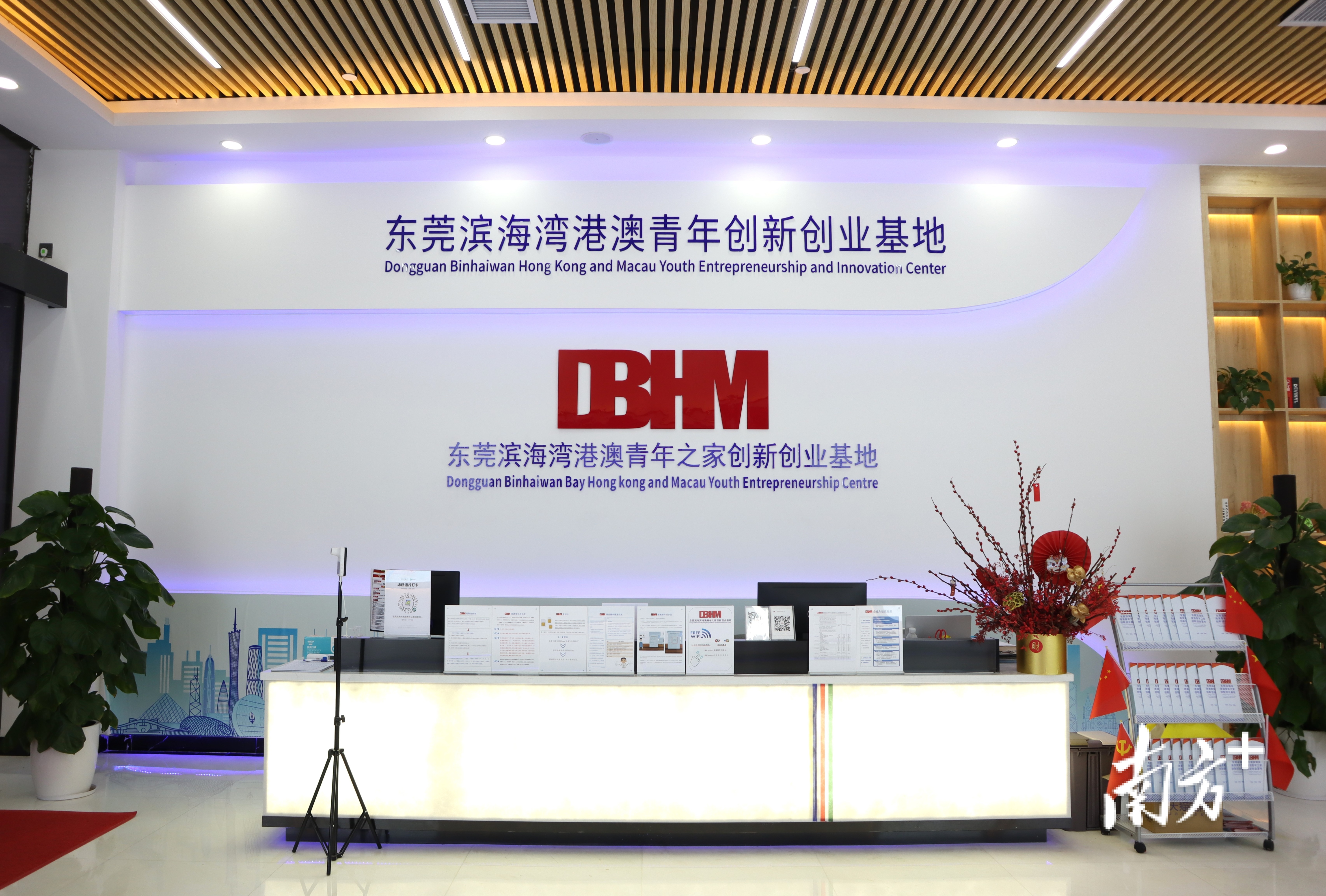 专家评论港澳青年大湾区创业,滨海湾粤港澳青年创新创业