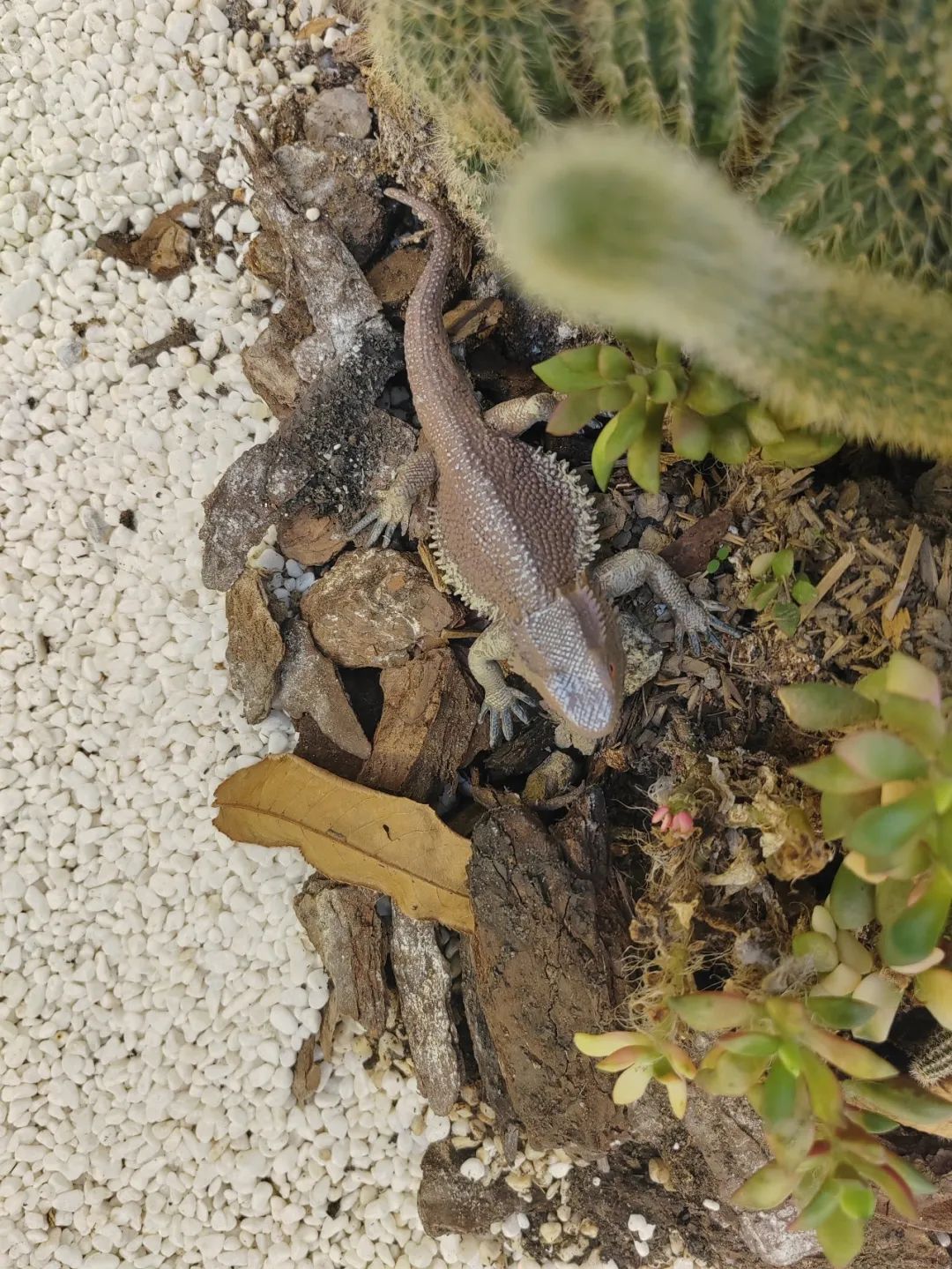 258潮店,长沙高颜值的潮男潮女聚集地