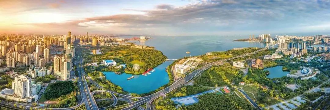 让青年扎根海口成为幸福的事！这篇文章这么说→