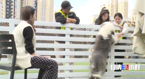 民生满意度调查问卷模板,民生实事调研问卷