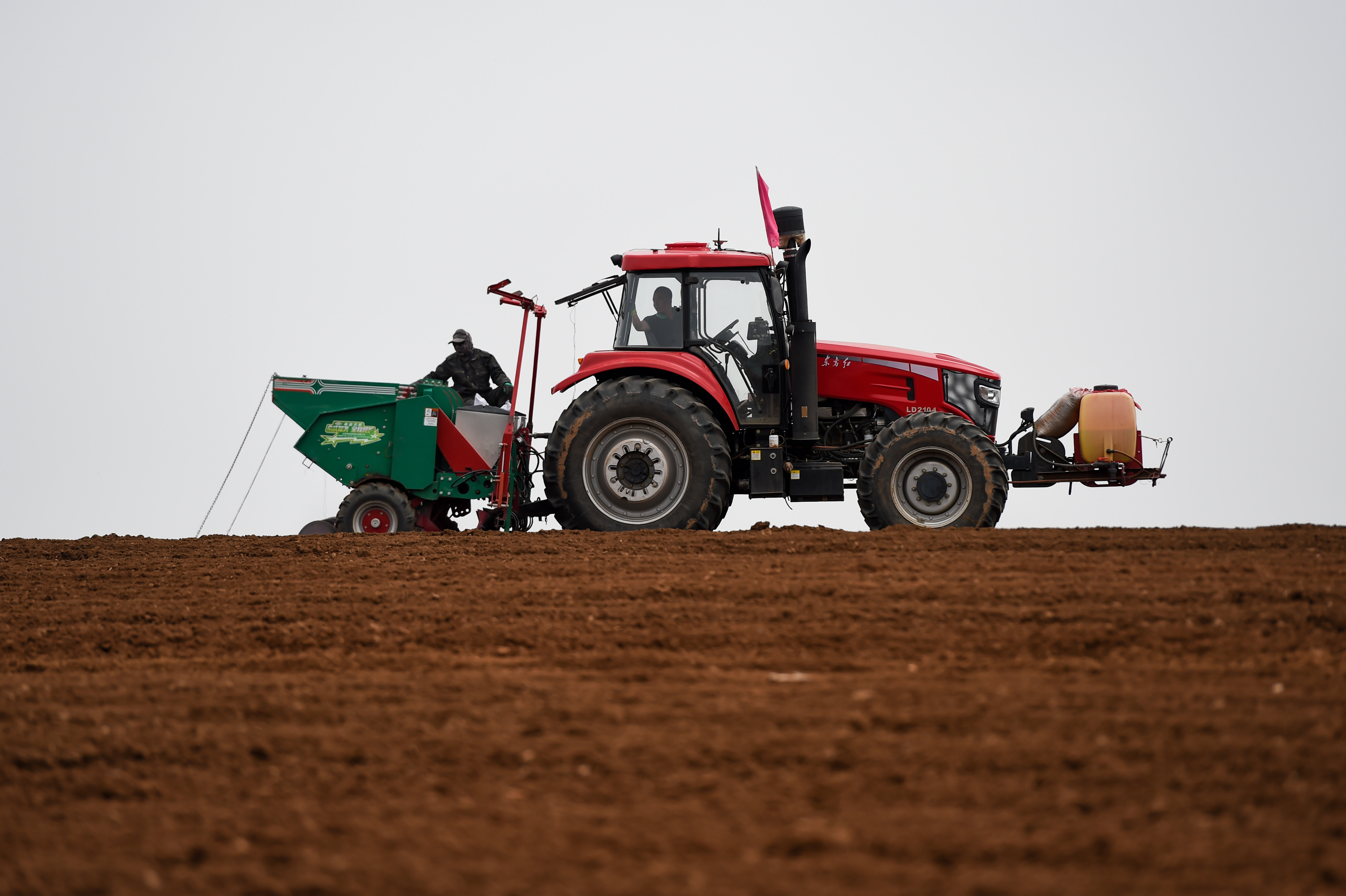 呼和浩特马铃薯播种,呼和浩特哪个区域马铃薯多