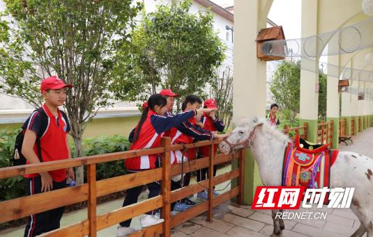 鐢靛奖灏忛晣鍙傝鐮斿娲诲姩,鐢靛奖灏忛晣鐮斿涔嬫梾瀹為獙灏忓