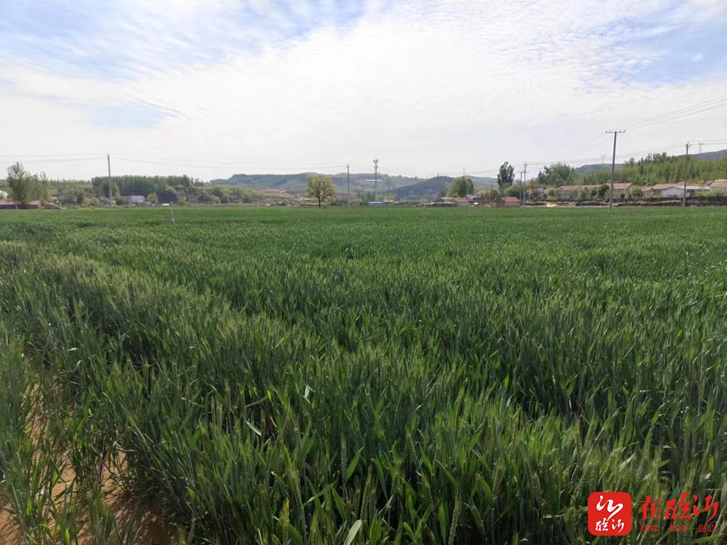 e视野眼镜店,e视野