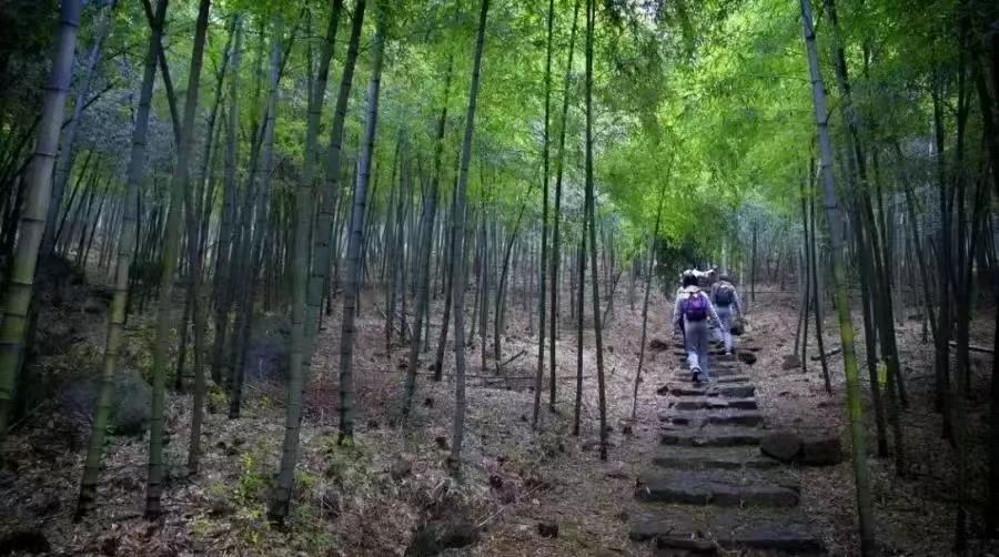 徒步运动爆火出圈！如何才能玩得更加安全畅快？复合型人才建设迫在眉睫