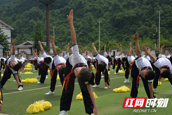 携手共育助力成长家长会,携手相伴见证成长家长会展板