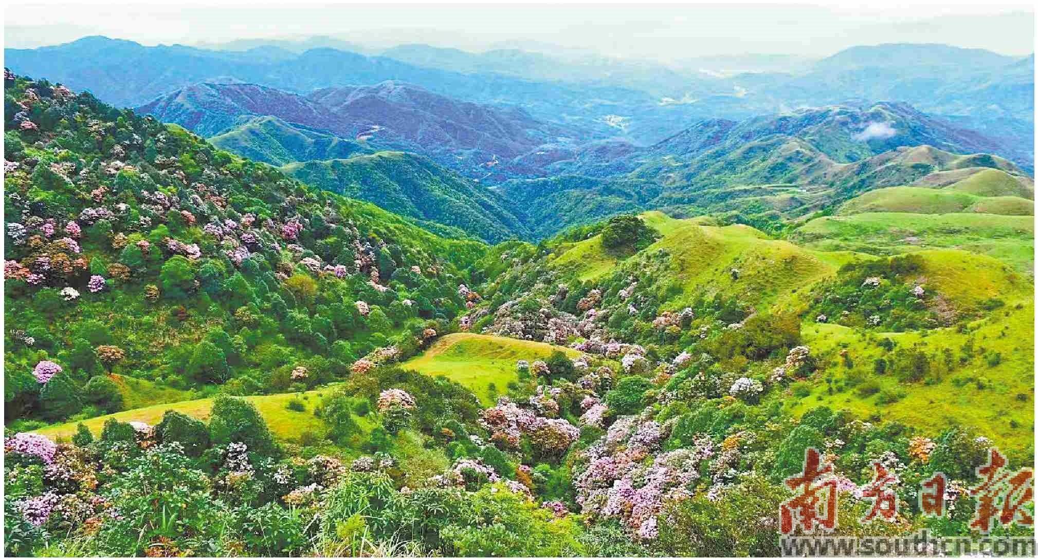 发展全域旅游促进农文旅融合发展,激活乡村文化内生动力