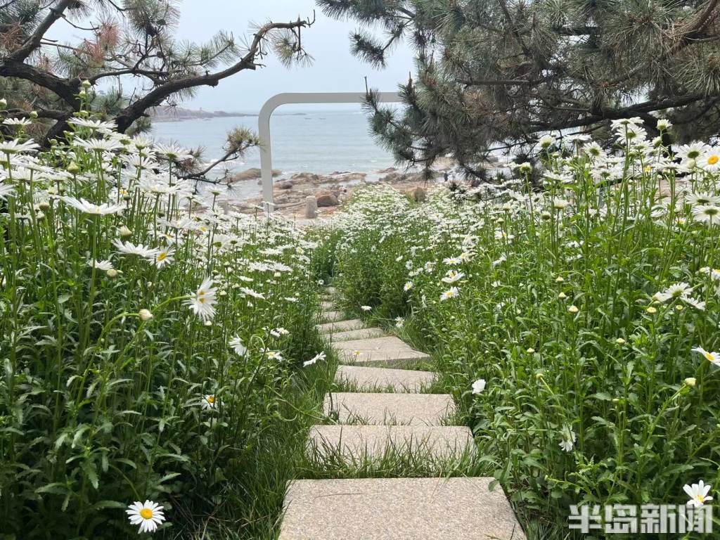 青岛口袋公园地址,青岛市市南区口袋公园