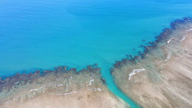 斐济南太平洋之旅,斐济之行游记