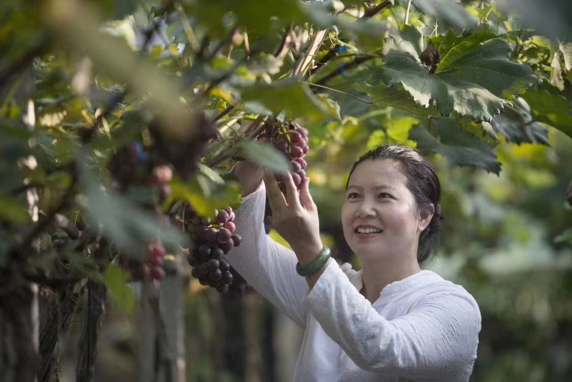 鍚寸弽璧ゅ杩斾埂鍒涗笟闈掑勾,璧ゅ鍚寸弽