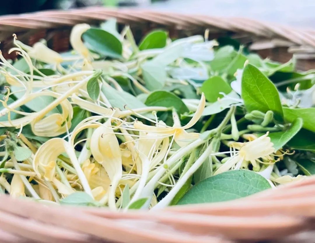 房山值得去玩的地方,房山周末适合去哪里玩