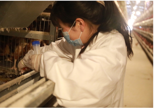 青年赋能乡村振兴,发挥青年力量激发乡村振兴活力