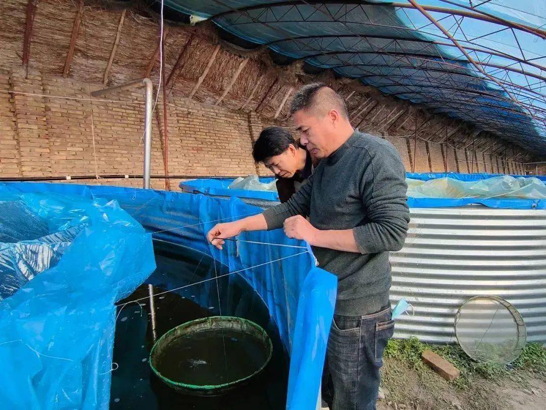 牛塘附近小龙虾,牛寨小龙虾