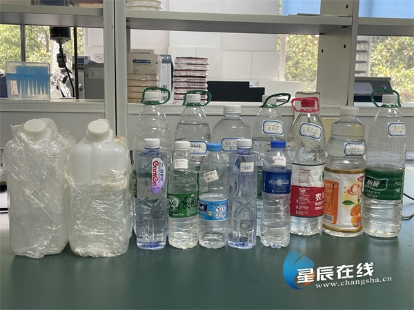 好young隆平丨谢小红：攻坚克难研发“纳米银”新科技快速净化“非洲猪瘟”