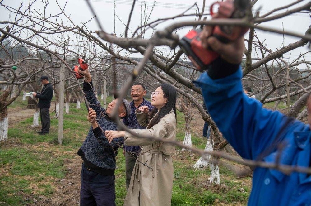 建设科技小院服务乡村振兴,科技小院打造乡村振兴青年样本