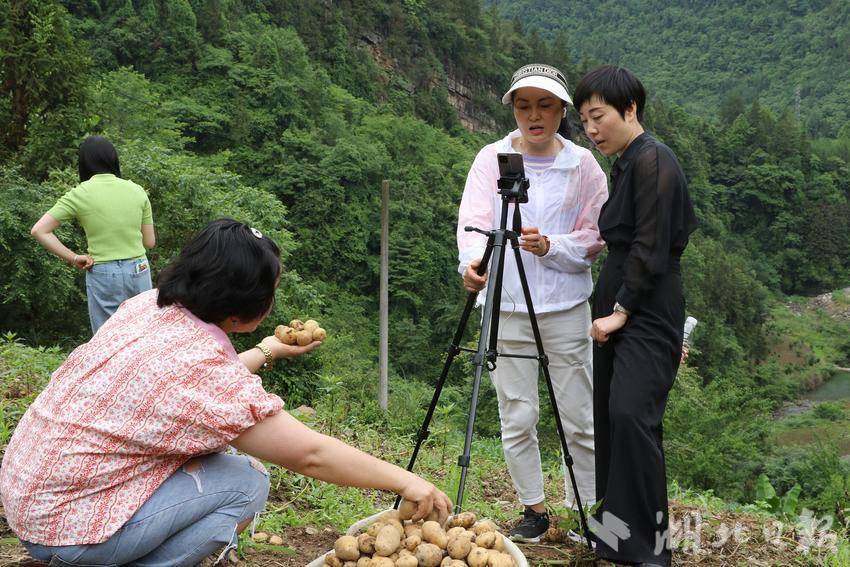 乡镇开展乡村振兴电商培训,榕江电商培训进校园赋能乡村振兴