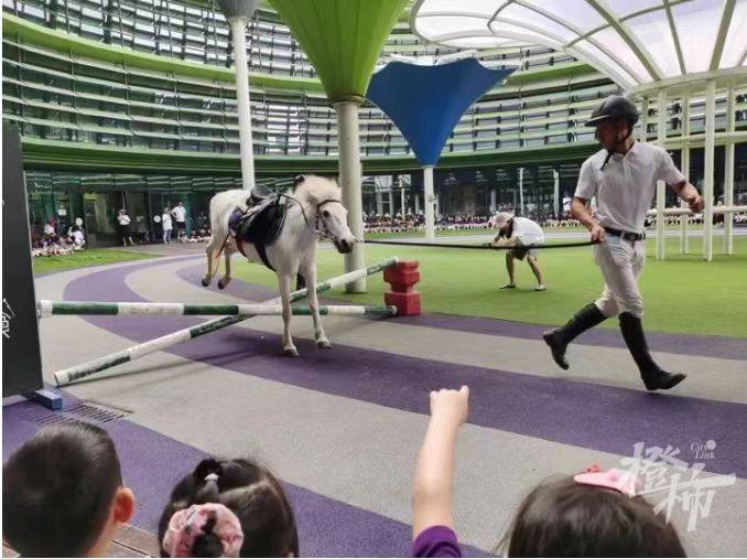 英式马术障碍赛儿童,马术儿童障碍赛