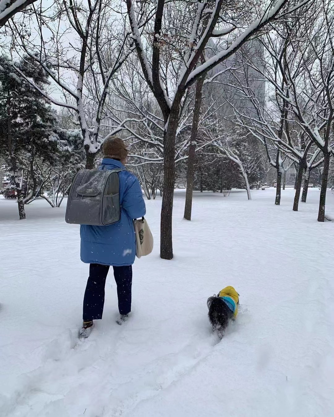 北京日报香港来信,香江来信现在怎么样