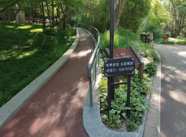 适老化改造方案公共空间,公共设施适老化改造内容