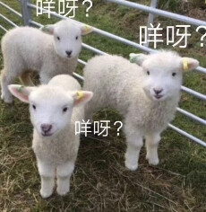 清华美院一年招几人,清华美院多少人能入围