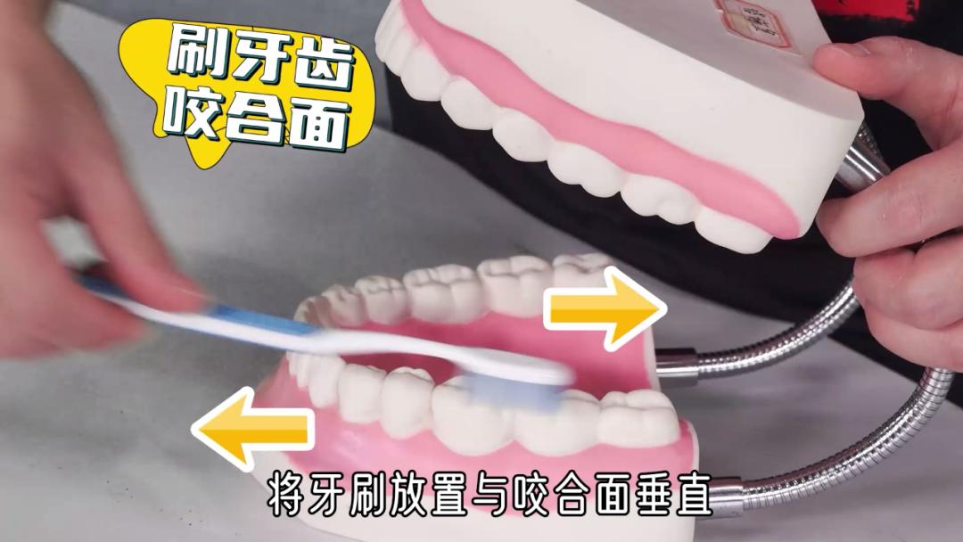 牙痛喝哪个凉茶就好了,牙疼喝什么凉茶最有效