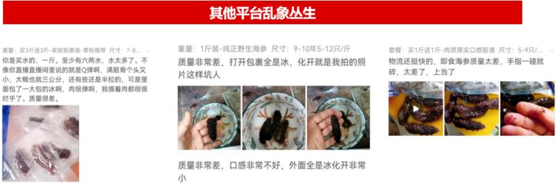 大连海参市场大头淡干参稀缺,大连参行家淡干海参多少钱一斤