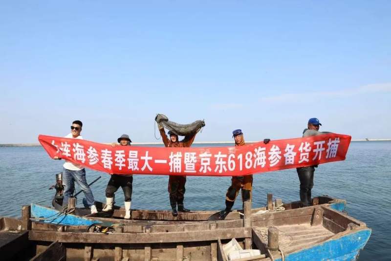 盐渍40个头的海参多少钱一斤,大连长海县野生盐渍海参500g包邮