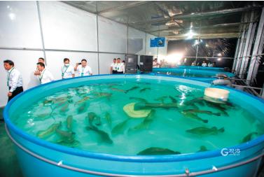 自主研发最新成果发布,自主研发的黑科技