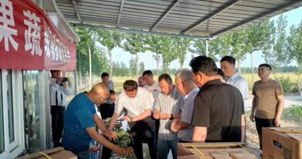 河南省农科院驻濮阳县海通乡前康庄村帮扶工作队发展设施果蔬纪实