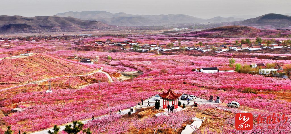 临沂乡村振兴观摩蒙阴,山东临沂沂水乡村振兴