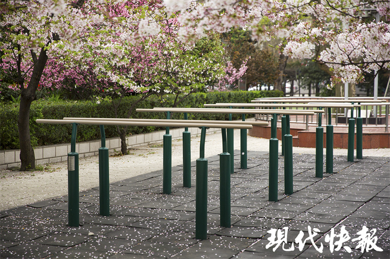 南京九中两个校区,南京九中新校区规划