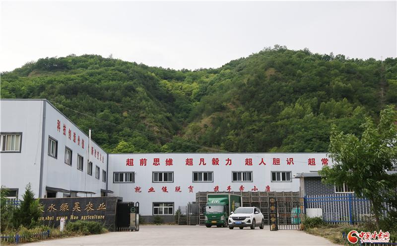 打造秦州“陇优奇”带动村民走上致富路