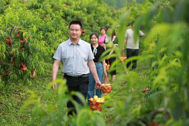 江苏盱眙：桃园结出“金果子”铺就乡村致富路