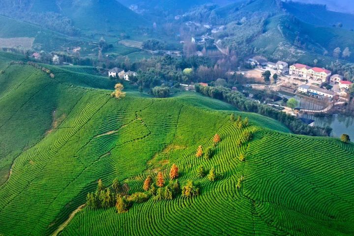 八八战略的城乡协调发展,八八战略山海协作