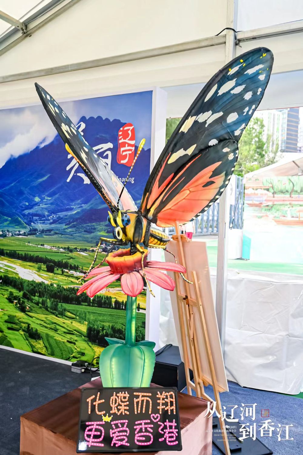 从辽河到香江,辽河到香江