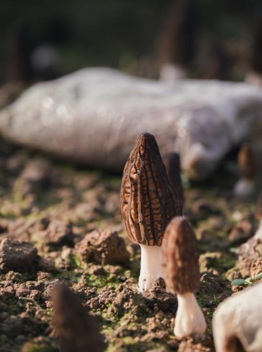 【开屏早知道】热热热！1961年以来历史同期最多！云南“参与度”极高！