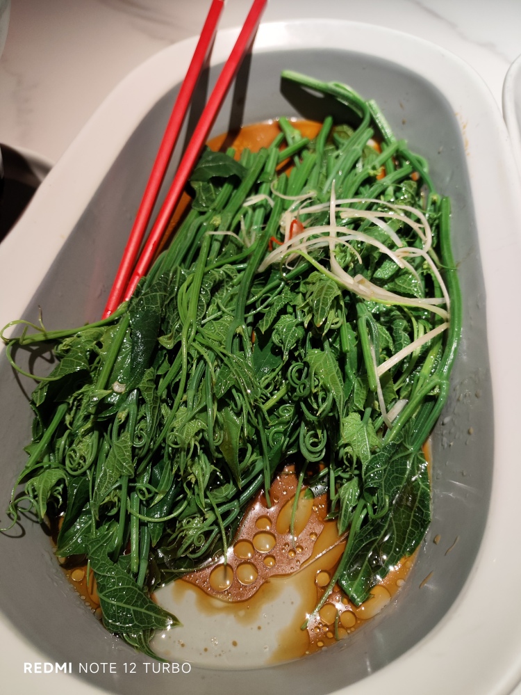 最好用的手机相机谷歌相机,手机的谷歌相机