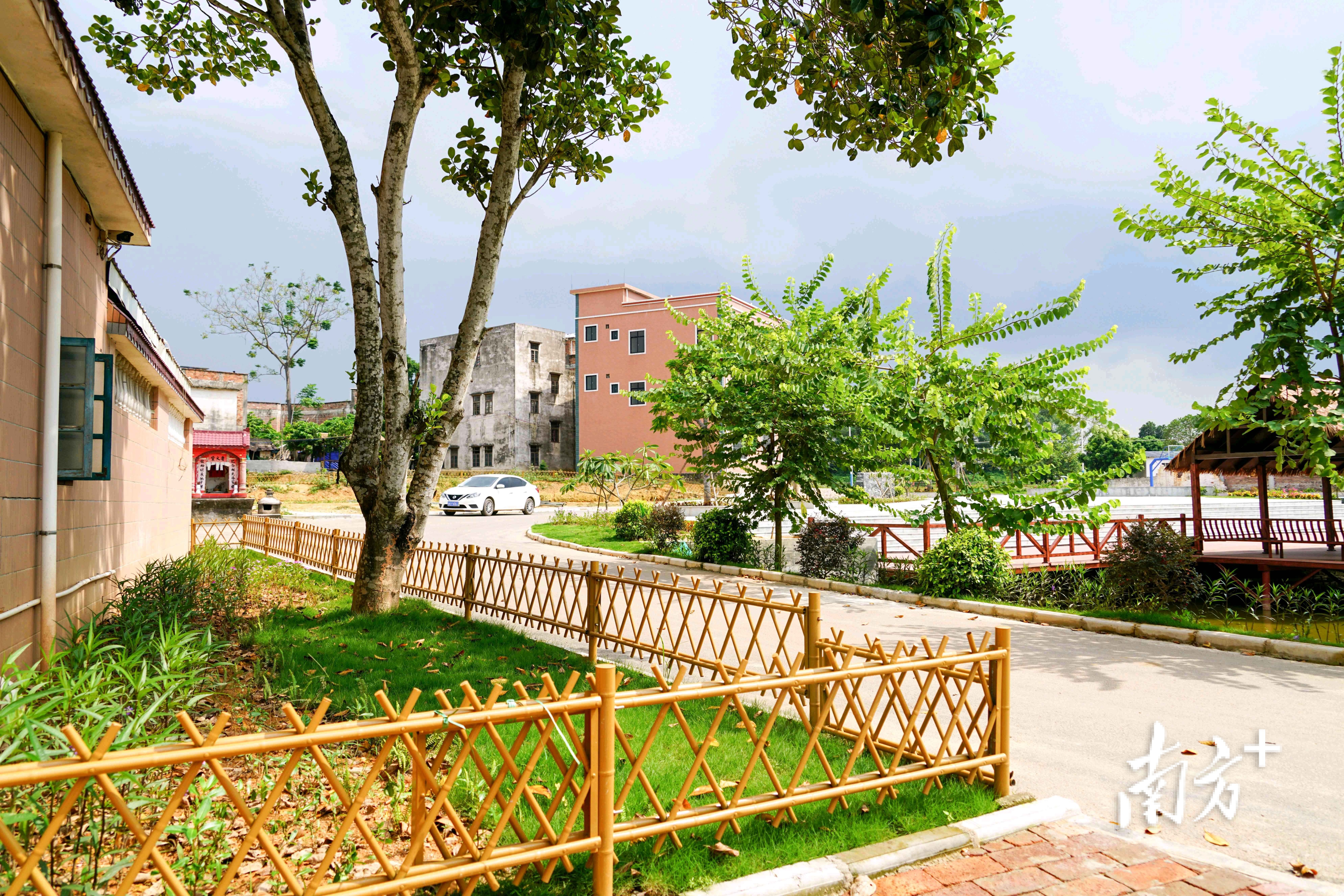 村级集体经济的奖励文件,村级集体经济收入奖励办法