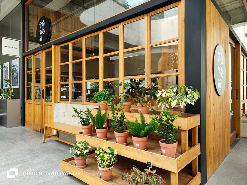 夏季成都短期旅游推荐,重庆和成都夏季旅游哪个更适合