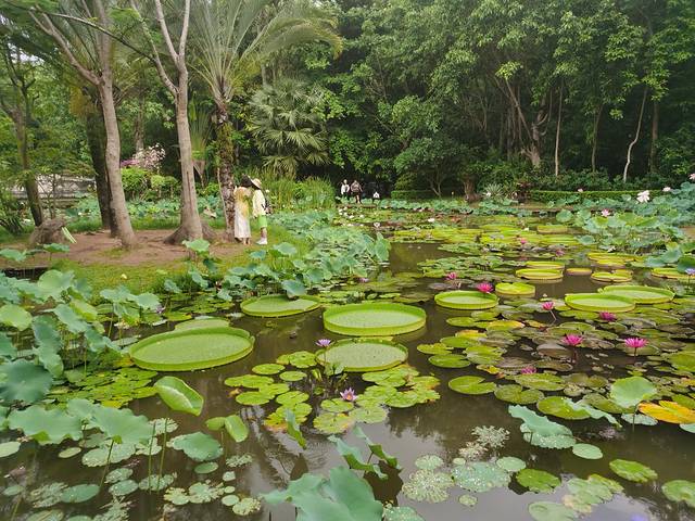 从西双版纳到老挝琅勃拉邦