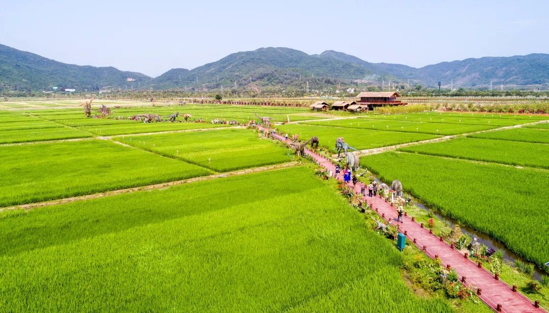 海南暑假旅游攻略自由行,海南研学亲子游