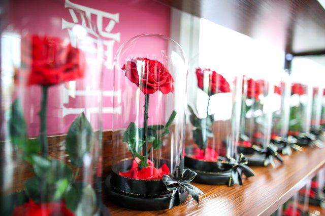 有一种叫云南的生活｜“郑和故里·云花灿烂”！2023晋宁玫瑰节启幕