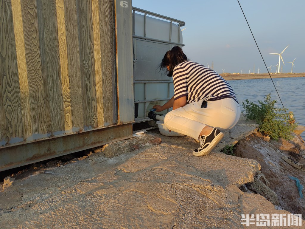 青岛虾农，跨城淘金！2000多位大拿，走南闯北；20多万斤鲜虾，每天从鳌山卫游向全国