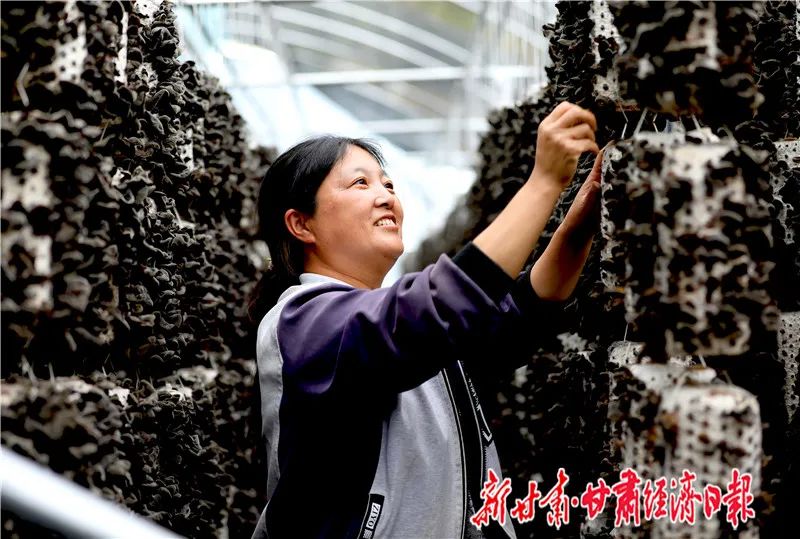 脱贫攻坚新渠道消费扶贫显成效,消费扶贫助力我县农特产品走出去