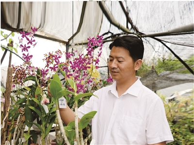 卢正运：建造观赏石斛的“神秘园”