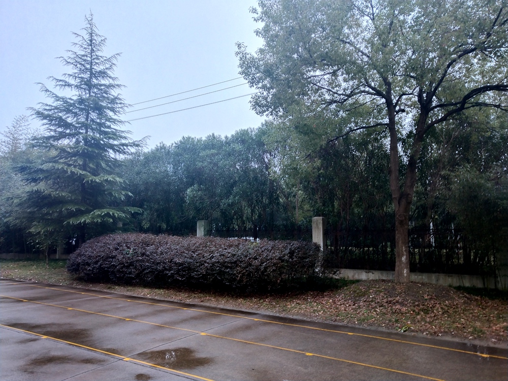 绿动青岛,绿动齐鲁碳路未来