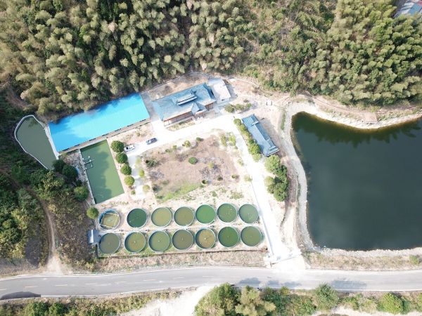 濒危动物复活,濒危到灭绝动物