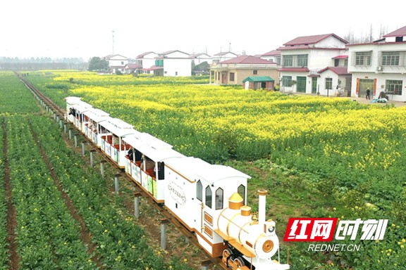 涔℃剚璧嬭兘,涔℃剚鏂囧寲璧嬭兘涔℃潙鎸叴