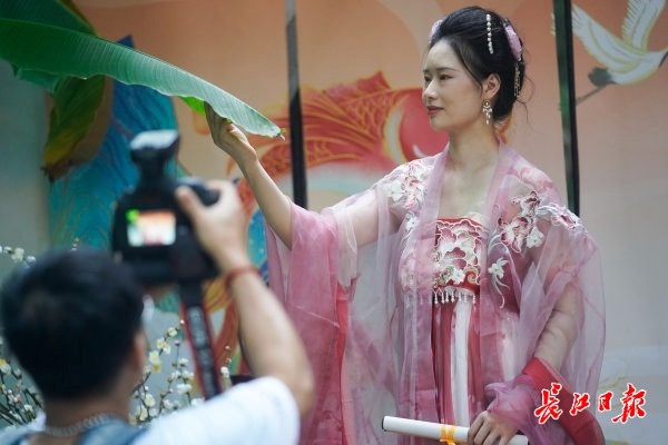 荆风楚韵完整视频,荆风楚韵风景区